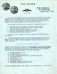 The Blurb 06/04/1984 by Shawnee State University