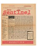 July 1995 Shawnee Sentinel by Shawnee State University