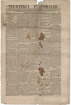 Tri-Weekly Plaindealer (Portsmouth, Ohio), August 15, 1856